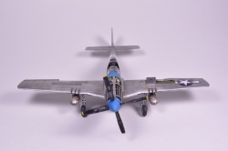 Meng Models 1/48 P-51D Mustang