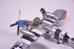 Meng Models 1/48 P-51D Mustang