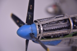 Meng Models 1/48 P-51D Mustang