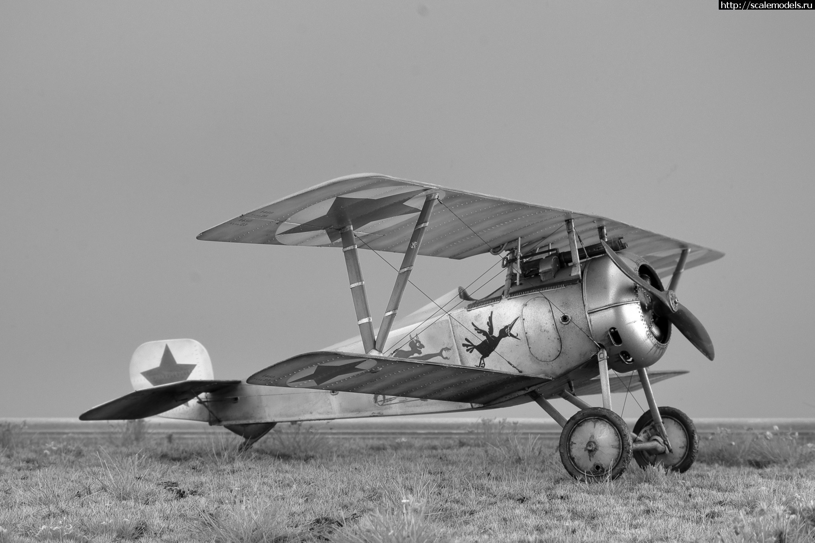 1734759708_107.jpg : #1860010/ Nieuport 13    CSM1/32  