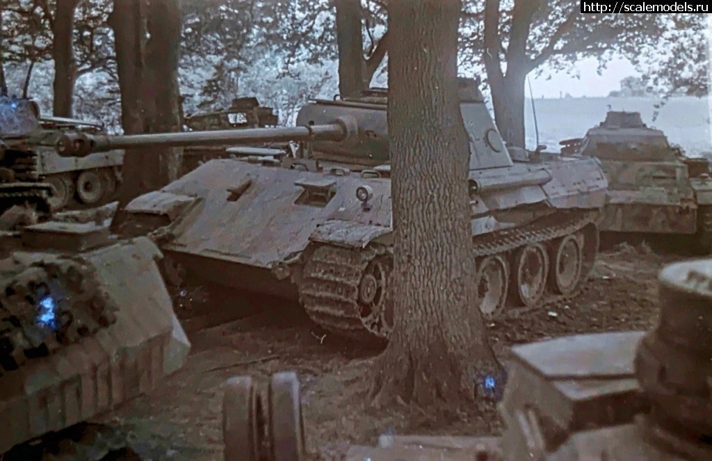 1735653615_401.jpg : #1861528/ Vespid Pz.KPFW.V Panther Ausf.G  