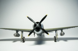 Trumpeter 1/32 P-47D Thunderbolt