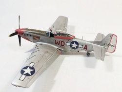 ICM 1/48 P-51D Mustang,    ,  1945