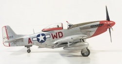 ICM 1/48 P-51D Mustang,    ,  1945