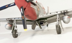 ICM 1/48 P-51D Mustang,    ,  1945