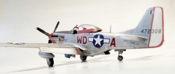 ICM 1/48 P-51D Mustang,    ,  1945