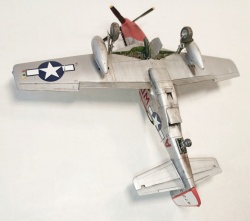 ICM 1/48 P-51D Mustang,    ,  1945