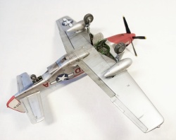 ICM 1/48 P-51D Mustang,    ,  1945