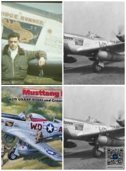 ICM 1/48 P-51D Mustang,    ,  1945