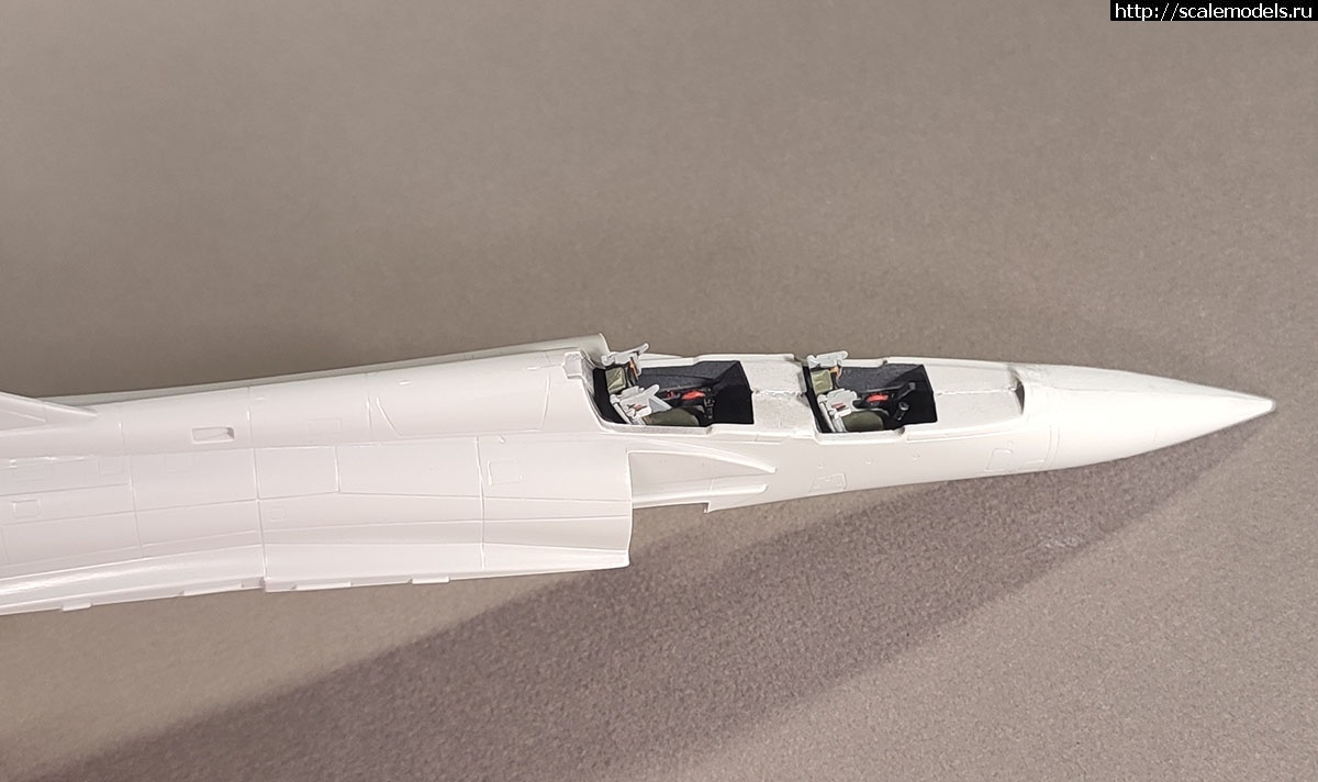 1737034965_IMG_20250116_163400.jpg : #1863842/ Mirage 2000D Revell 1/72  