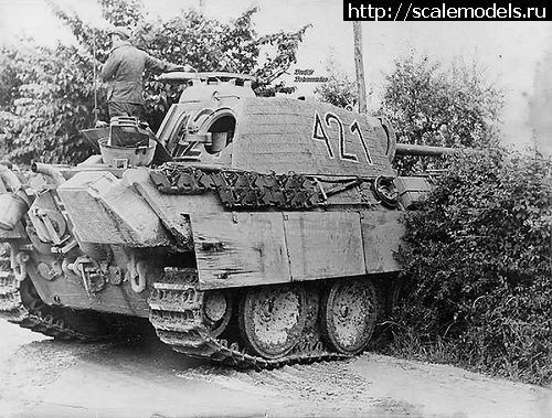 1738071894_bb5c4de23cba225fe0c17617232a81bb.jpg : #1865302/ Vespid Pz.KPFW.V Panther Ausf.G  