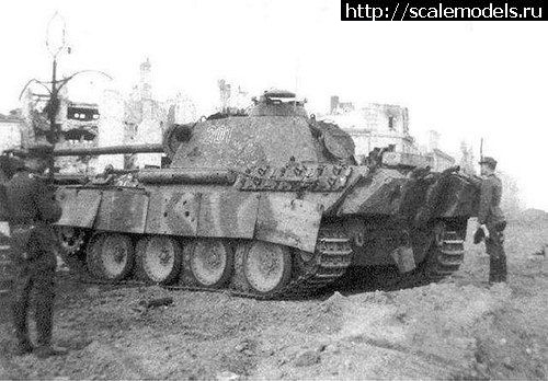 1738071895_0d48522e76149a79e73bd7672d1c1693.jpg : #1865302/ Vespid Pz.KPFW.V Panther Ausf.G  