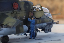  1/72 -24, 04 ,  RF-25290