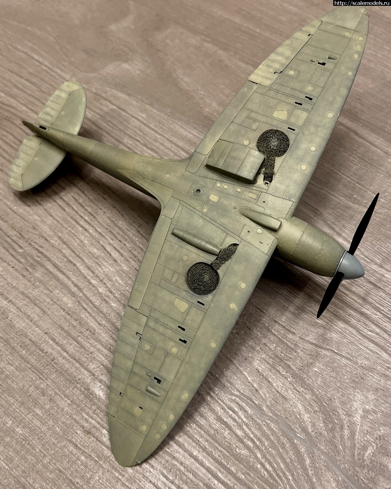 1738818880_IMG_7945.JPG : #1866352/ Spitfire Mk.I 1/48 Eduard  