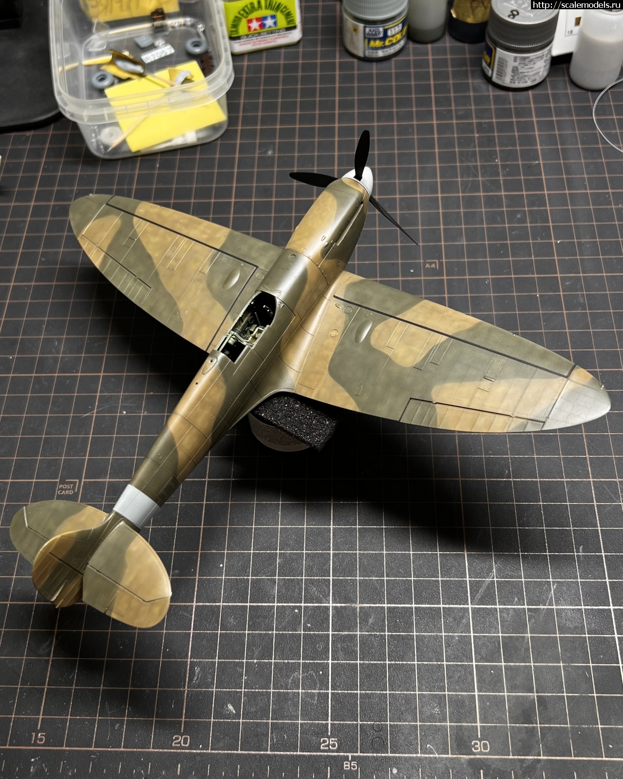 1739159552_IMG_8023.JPG : #1867077/ Spitfire Mk.I 1/48 Eduard  