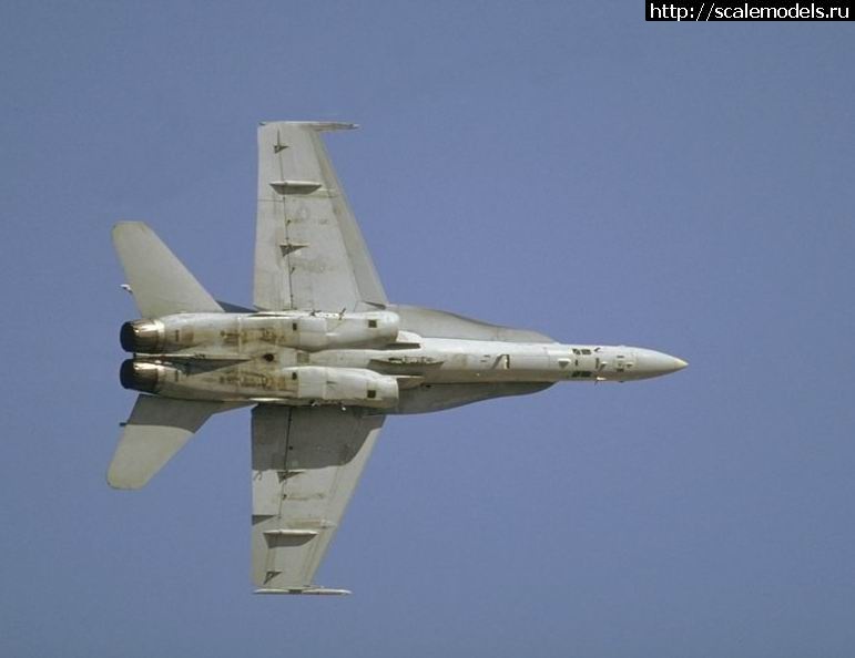 1740074929_29___.jpg : #1868827/ Hasegawa 1/48 F/A-18A+ Hornet(#17278) -   
