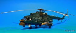 Hobby Boss+Heli-Resin Kits 1/72    -8-2