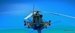 Hobby Boss+Heli-Resin Kits 1/72    -8-2