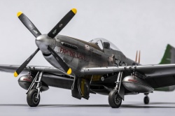 Eduard 1/48 P-51D-20 Mustang -   