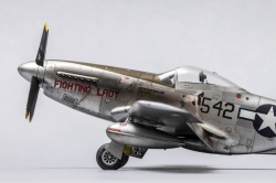 Eduard 1/48 P-51D-20 Mustang -   