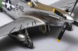 Eduard 1/48 P-51D-20 Mustang -   