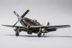 Eduard 1/48 P-51D-20 Mustang -   