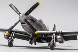 Eduard 1/48 P-51D-20 Mustang -   