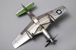 Eduard 1/48 P-51D-20 Mustang -   