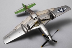 Eduard 1/48 P-51D-20 Mustang -   