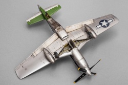 Eduard 1/48 P-51D-20 Mustang -   