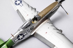 Eduard 1/48 P-51D-20 Mustang -   