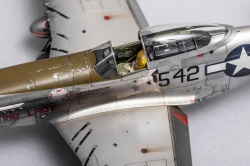 Eduard 1/48 P-51D-20 Mustang -   