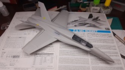 Hasegawa 1/48 F/A-18A+ Hornet