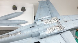 Hasegawa 1/48 F/A-18A+ Hornet