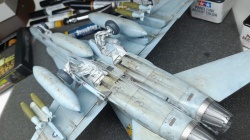 Hasegawa 1/48 F/A-18A+ Hornet