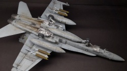 Hasegawa 1/48 F/A-18A+ Hornet