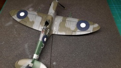 Eduard 1/48 Spitfire Mk.VIII   