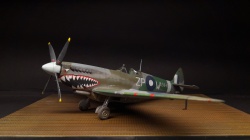 Eduard 1/48 Spitfire Mk.VIII   