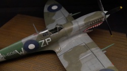 Eduard 1/48 Spitfire Mk.VIII   