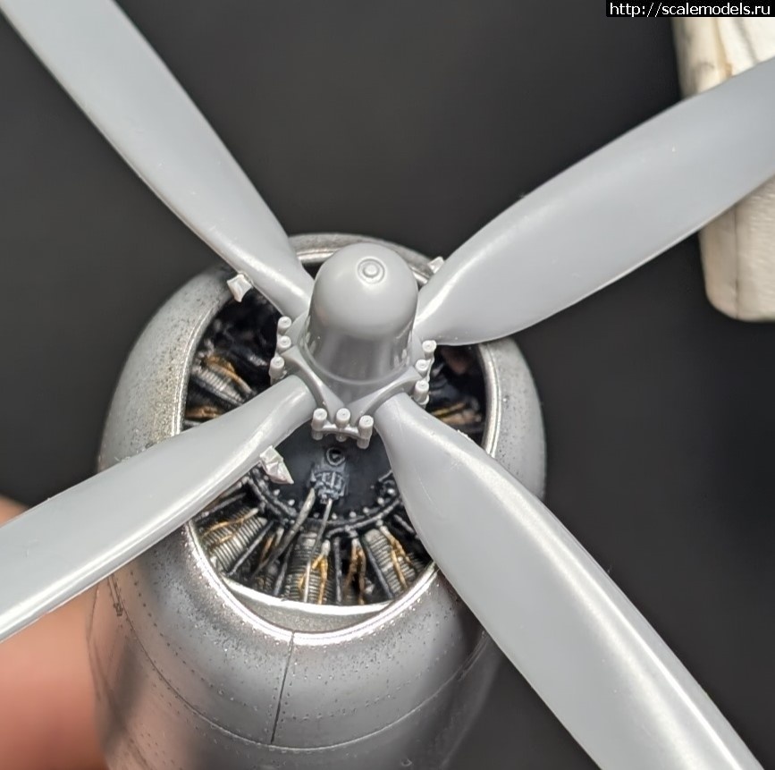 1740785634_PXL_20250228_231647867.jpg : #1869869/ P-47D-22 Tamiya 1/48  
