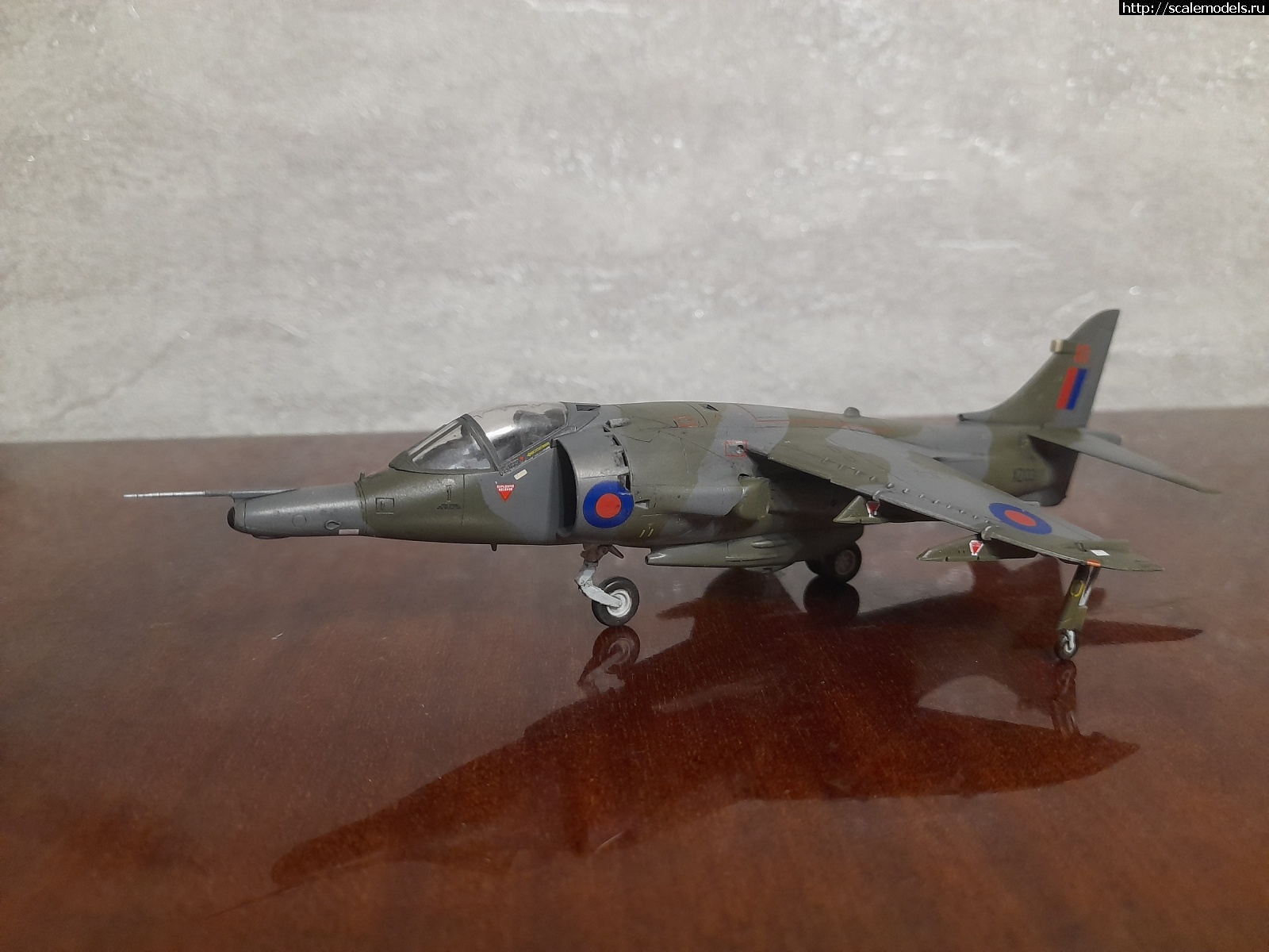 1740862147_20250301_183238.jpg : #1869960/ Harrier GR mk.3 1/72 Hasegawa  
