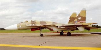 1741692407_Su37.jpg :  1/72   -33/  1/72   -33(#17319) -   