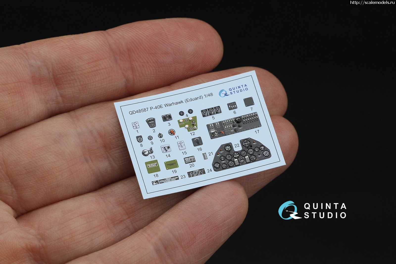 1743584566_7189-1.jpg :   Quinta Studio  