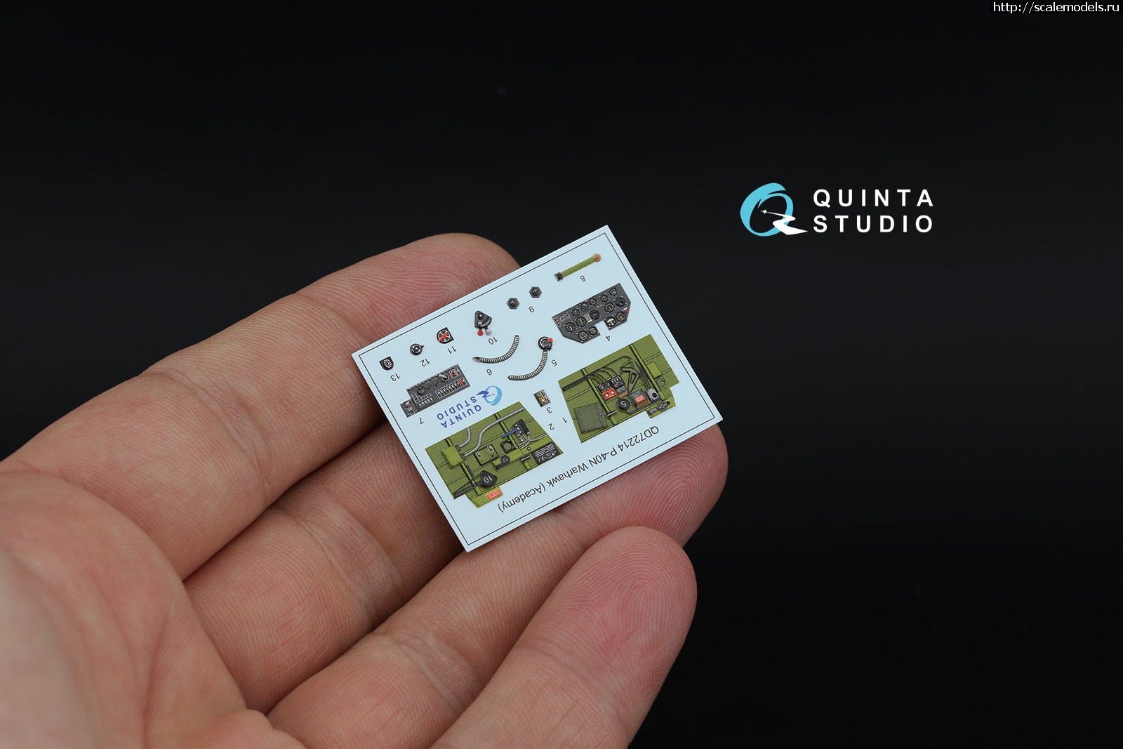 1745925286_9455.jpg :   Quinta Studio  
