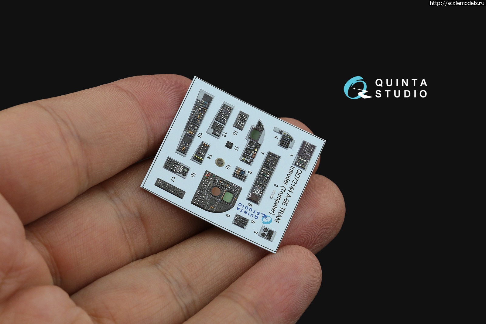 1745925996_3.jpg :   Quinta Studio  