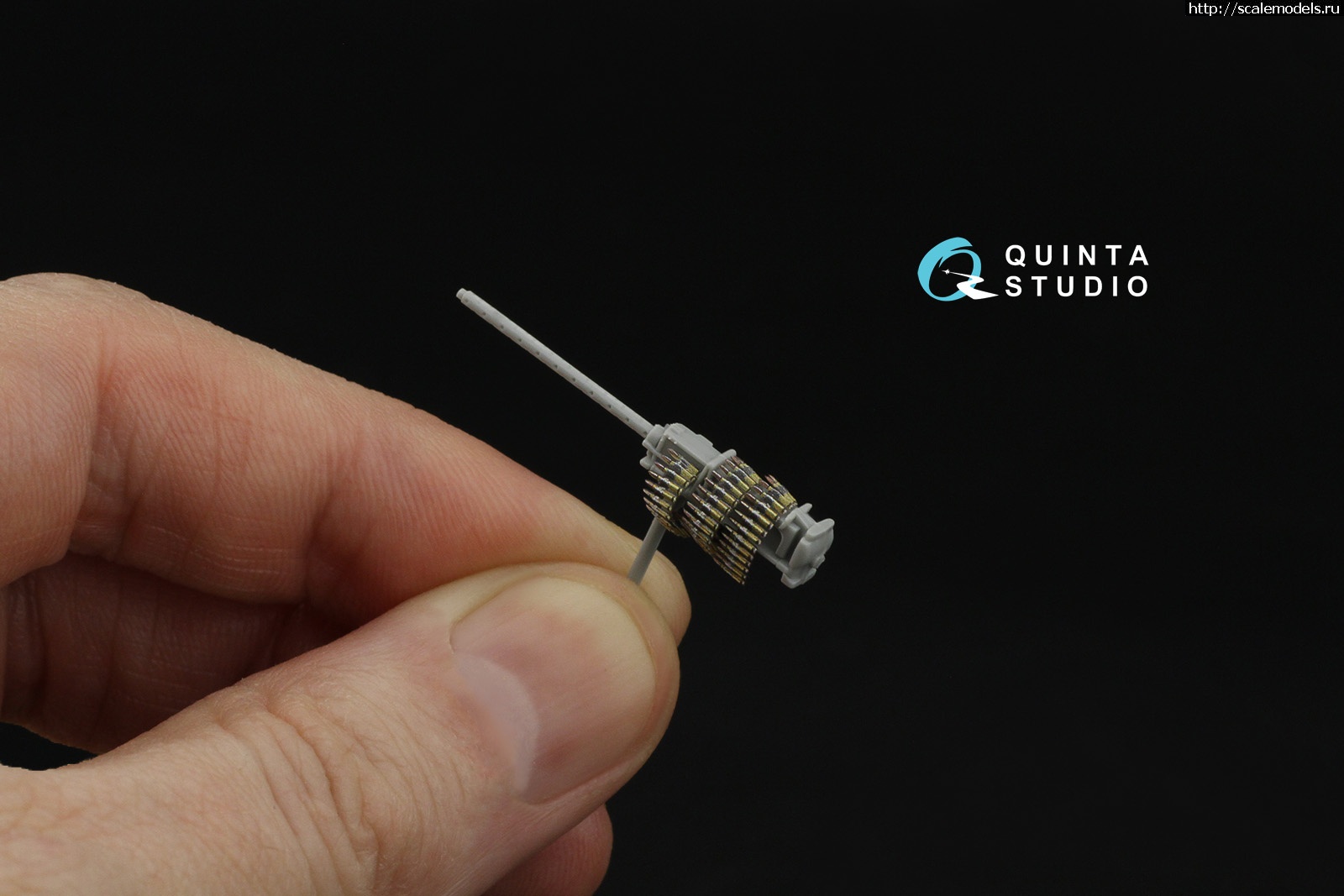 1745926564_7869.jpg :   Quinta Studio  