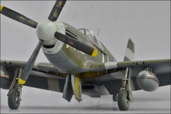 Arma Hobby 1/72 P-51B Mustang Ding Hao!