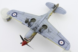 Eduard 1/48 P-40E Kittyhawk -     