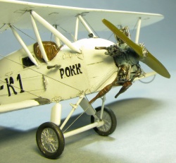  ICM 1/72 -21 -    