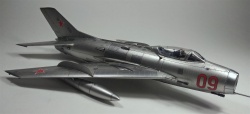 Trumpeter/Eduard 1/48 -19 -   